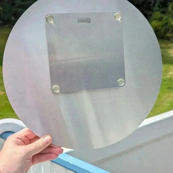 Queen Angel Fish Picture (New) - Picture 4 of 4